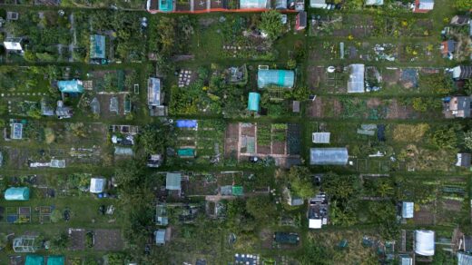 Rentomojo IPO allotment status